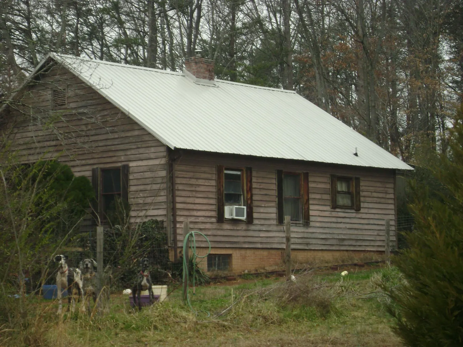 White metal roof on an old wood sided farmhouse, from a Metal Roof Installation job in Drewsey
